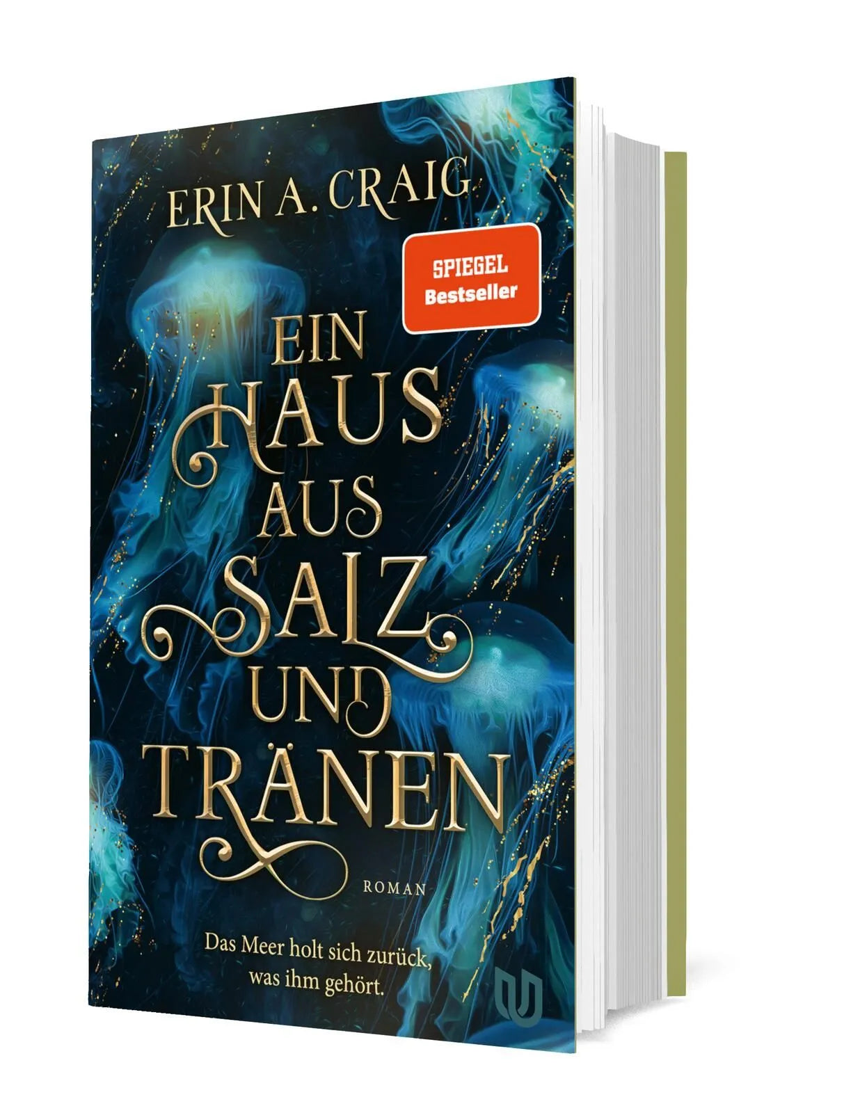 Detailansicht: Ein Haus aus Salz und Tränen (Hardcover)