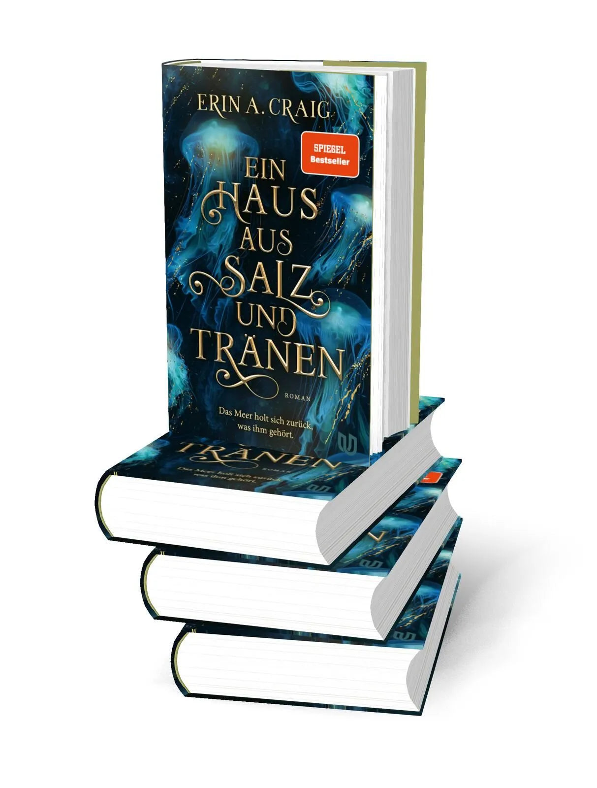 Detailansicht: Ein Haus aus Salz und Tränen (Hardcover)