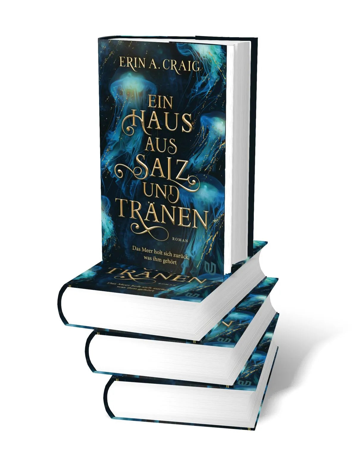 Produktansicht: Ein Haus aus Salz und Tränen (Gebundene Ausgabe)