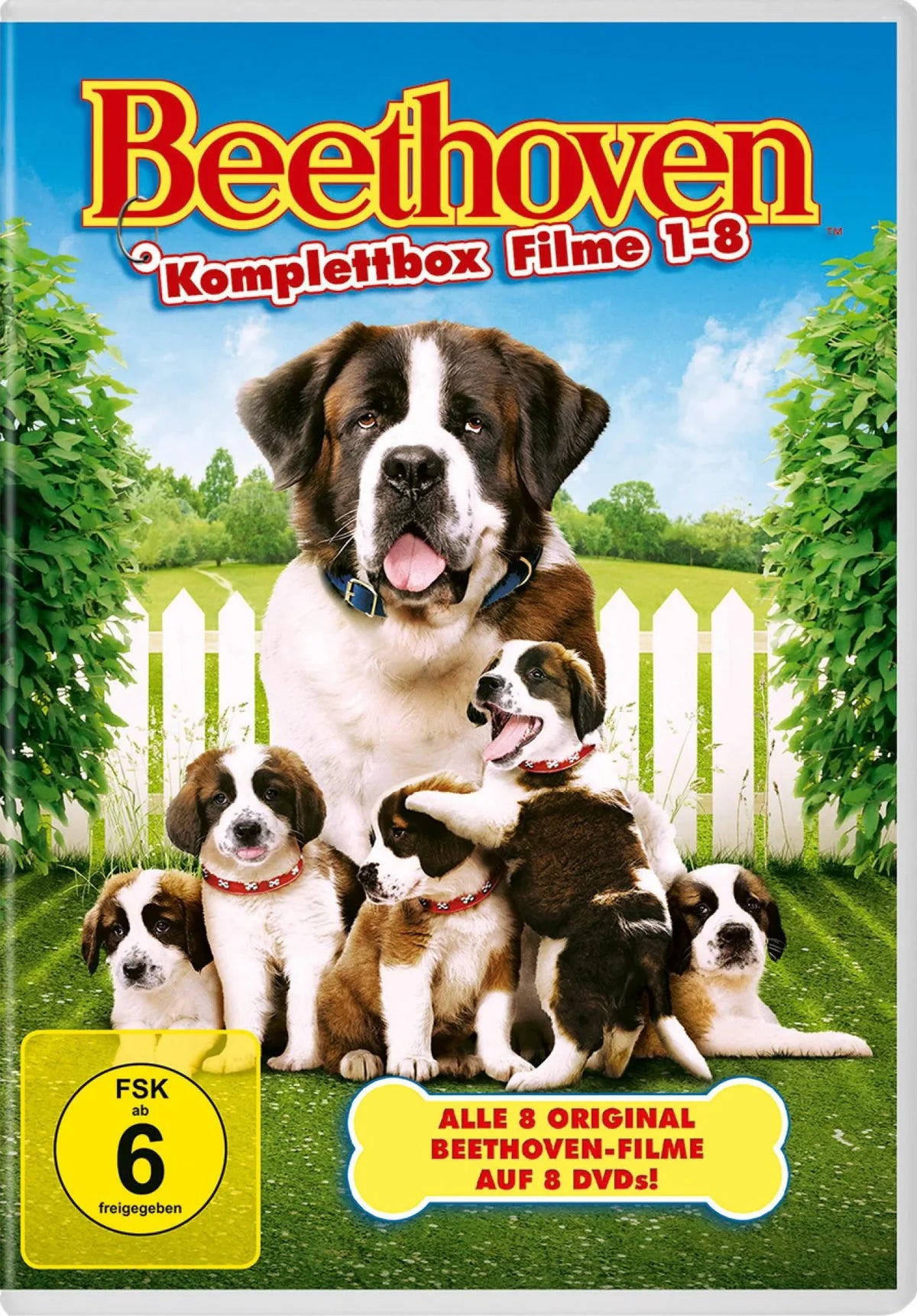 Ein Hund namens Beethoven - Komplettbox - DVD