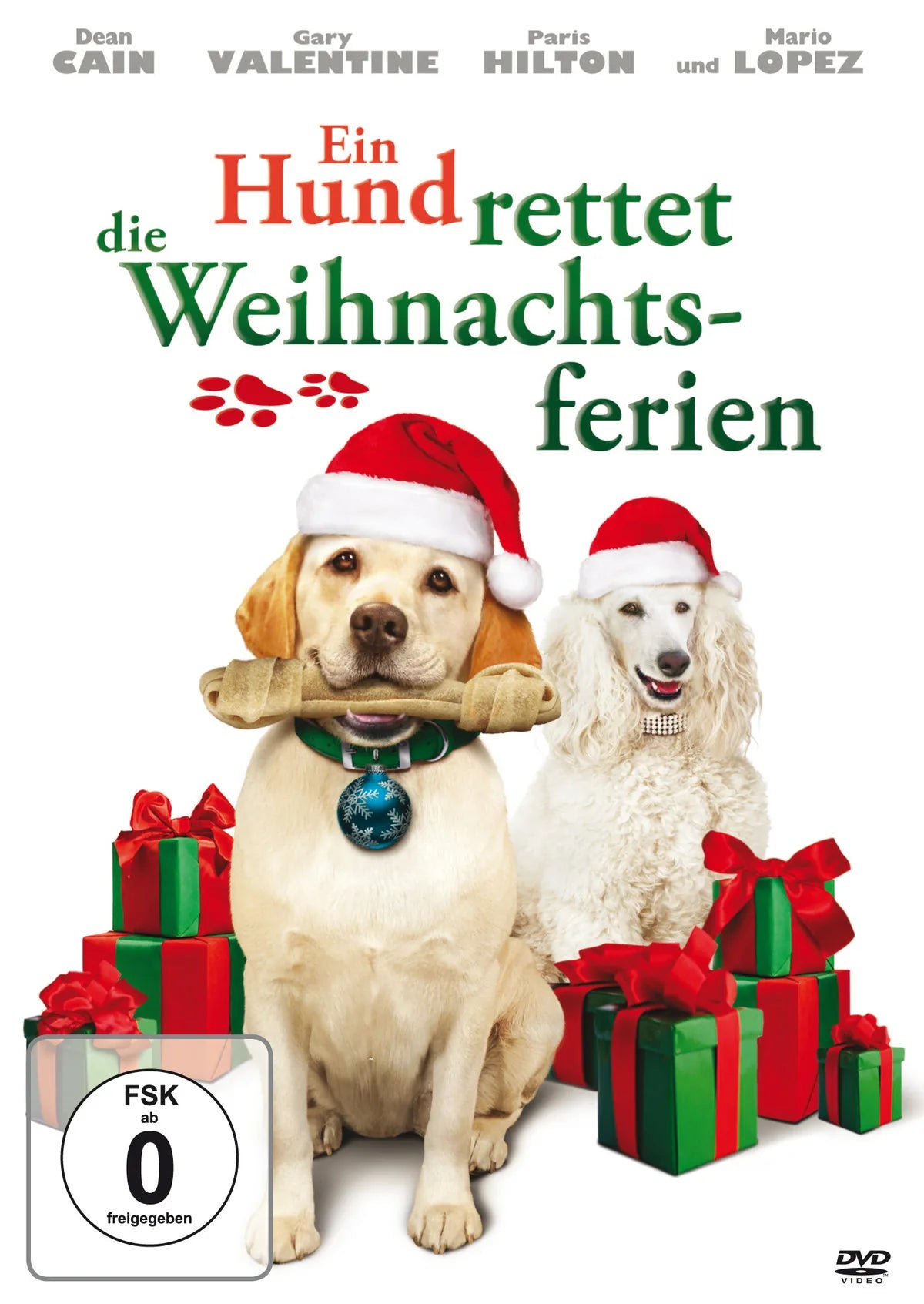 Ein Hund rettet die Weihnachtsferien - DVD