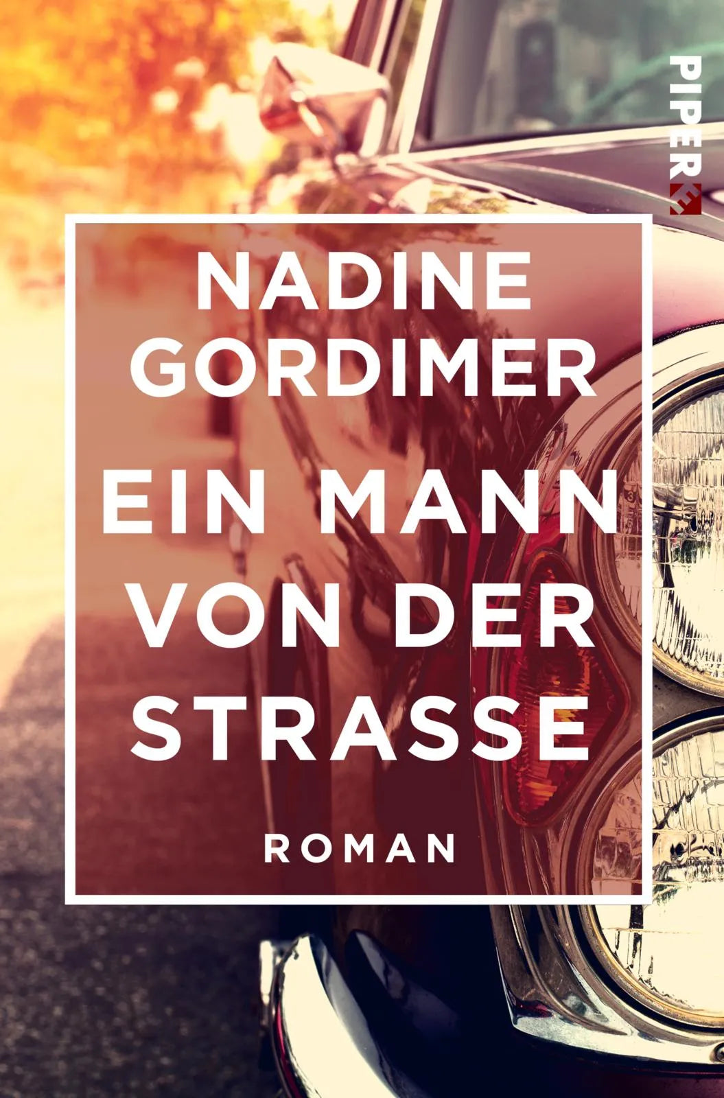 Buchcover von 'Ein Mann von der Straße' - Taschenbuch von Nadine Gordimer