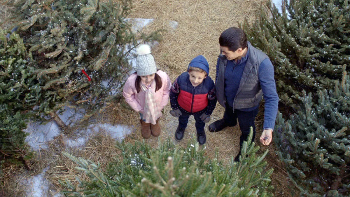 Filmszene 3 aus Ein Nachbar zu Weihnachten – DVD