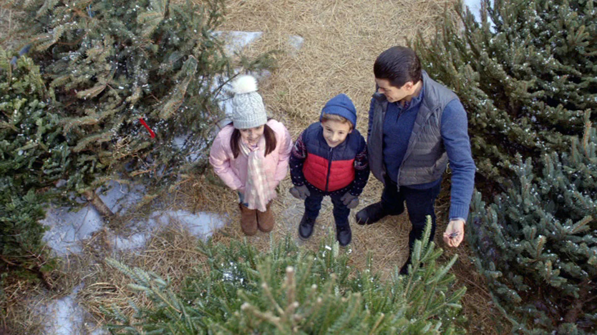 Filmszene 3 aus Ein Nachbar zu Weihnachten – DVD