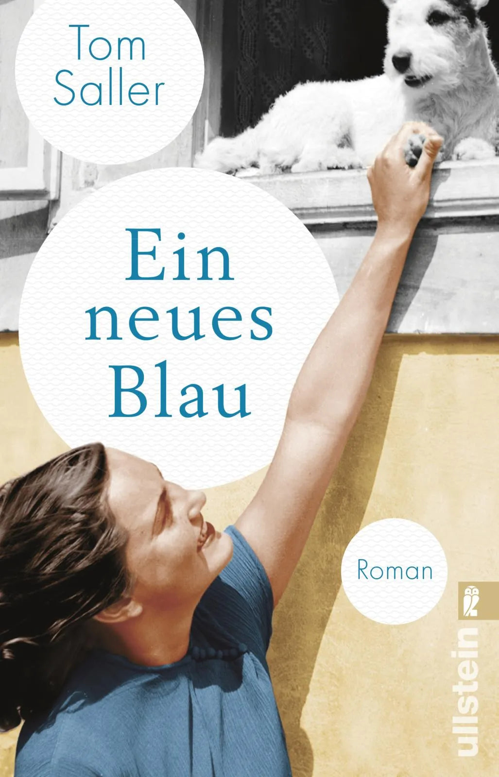 Buchcover von 'Ein neues Blau' - Taschenbuch von Tom Saller