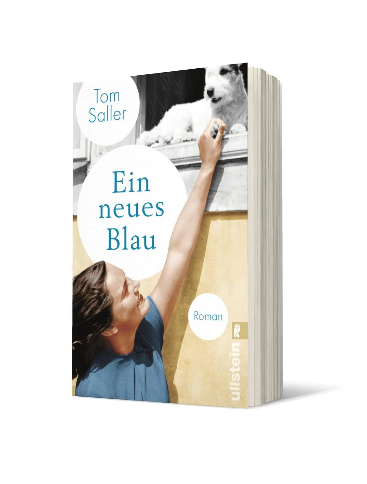 Produktansicht: Ein neues Blau (Taschenbuch)