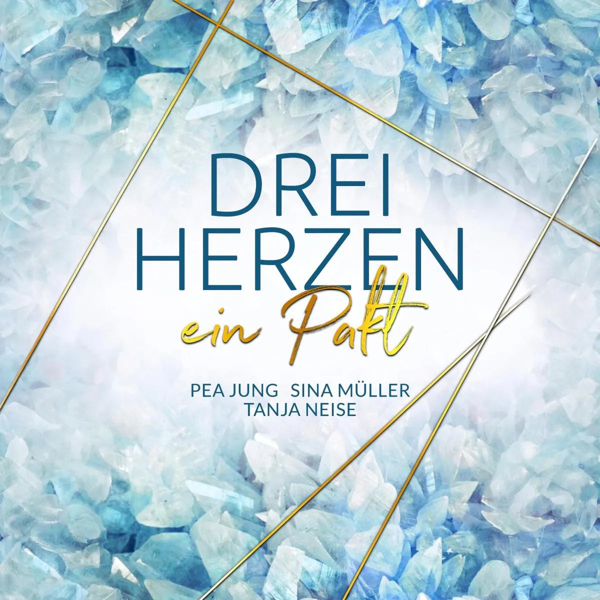 Cover: ein Pakt (Hörbuch Download) von Tanja Neise