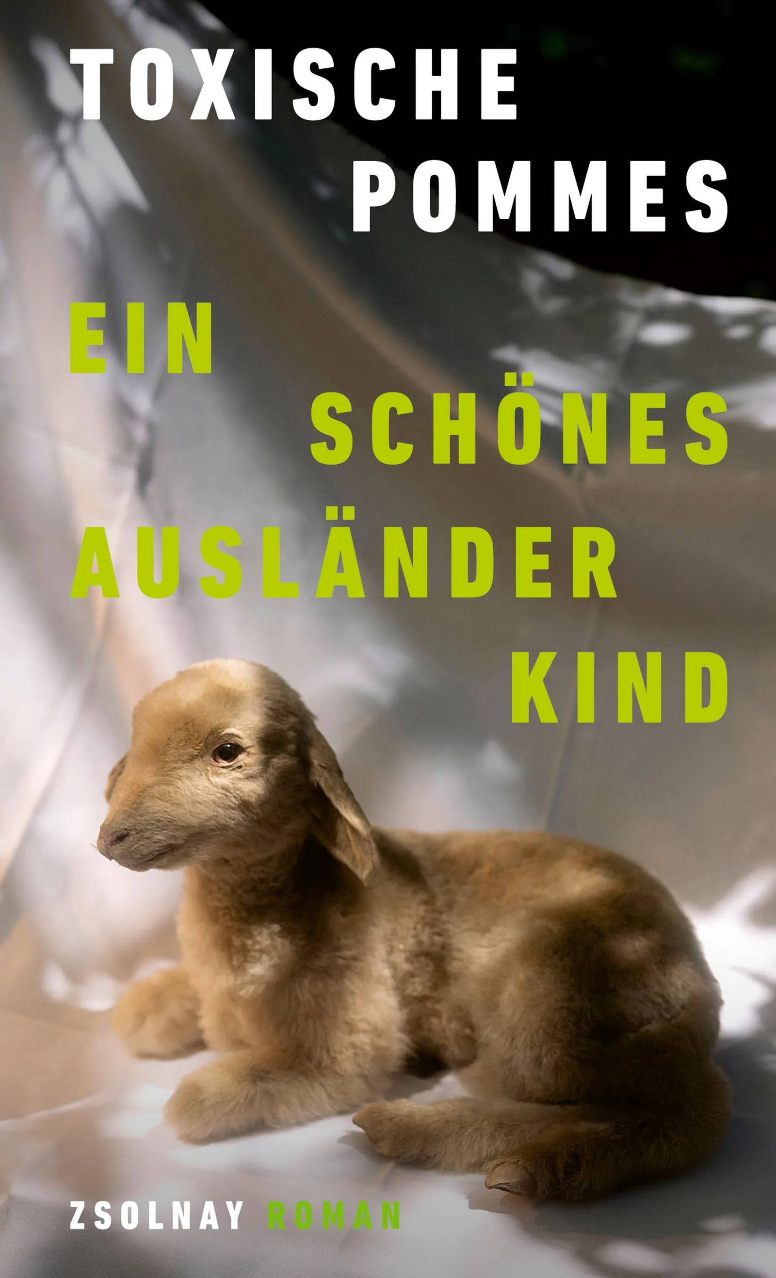 Cover: Ein schönes Ausländerkind (E-Book) von Toxische Pommes