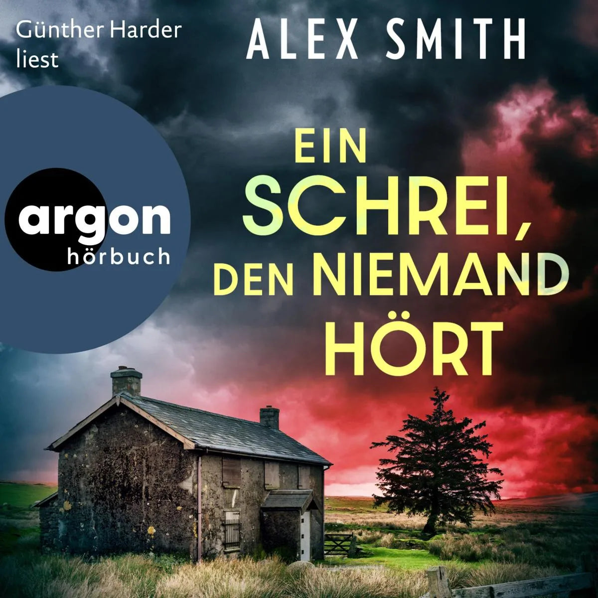 Cover: Ein Schrei, den niemand hört (Hörbuch Download) von Alex Smith