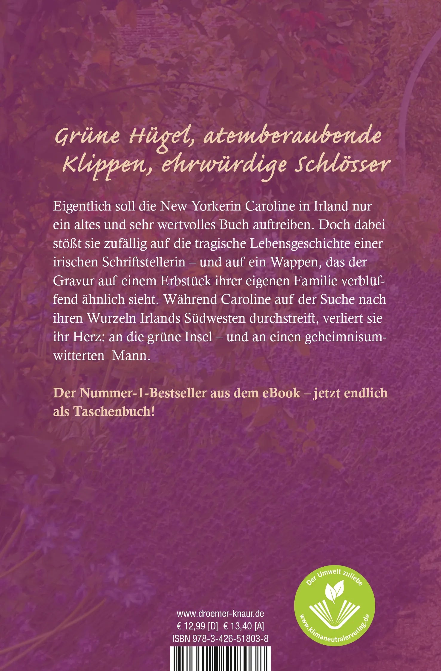 Buchrückseite von 'Ein Sommer in Irland' mit Klappentext - Taschenbuch