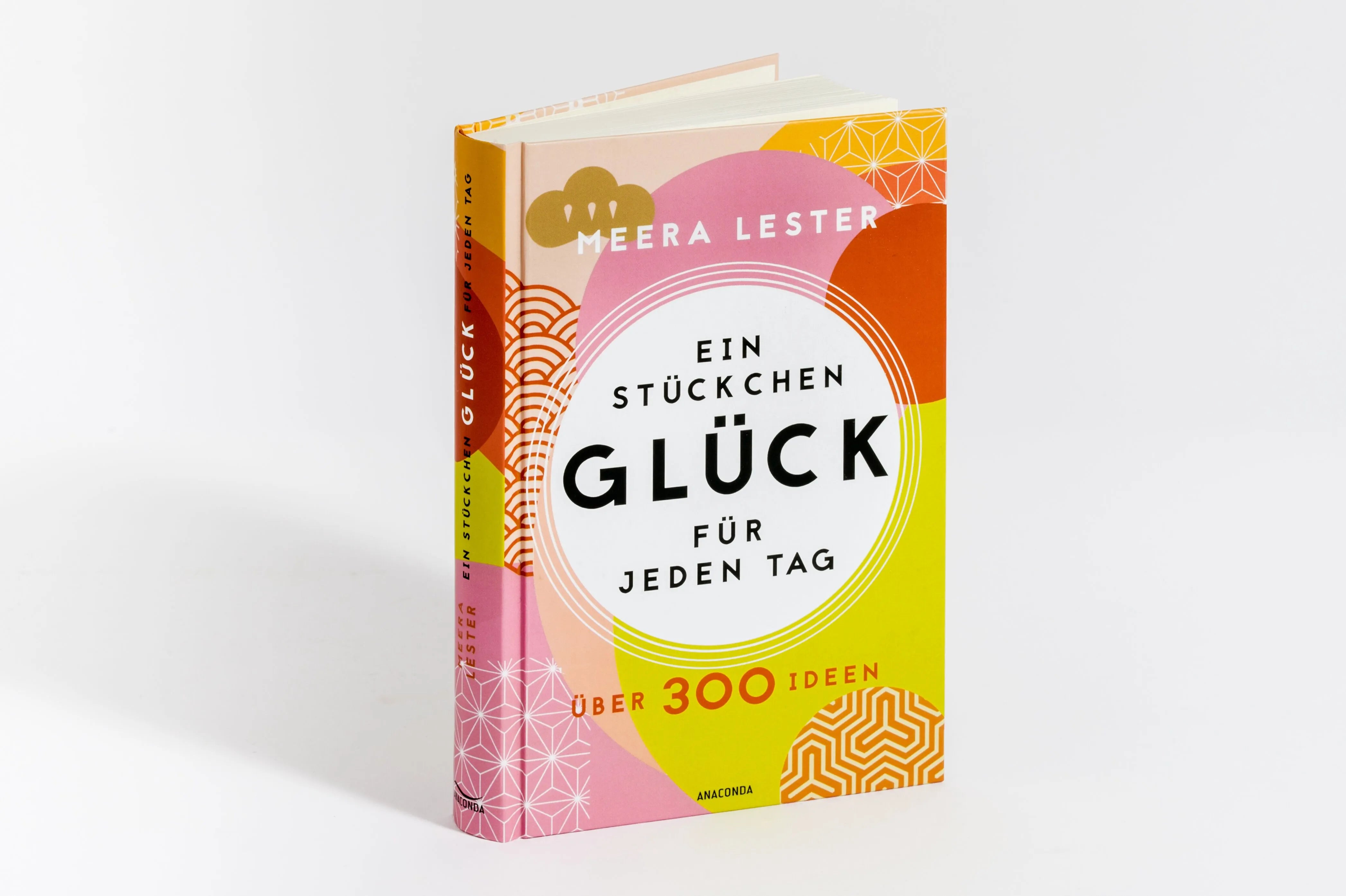 Detailansicht: Ein Stückchen Glück für jeden Tag. Über 300 Ideen (Hardcover)
