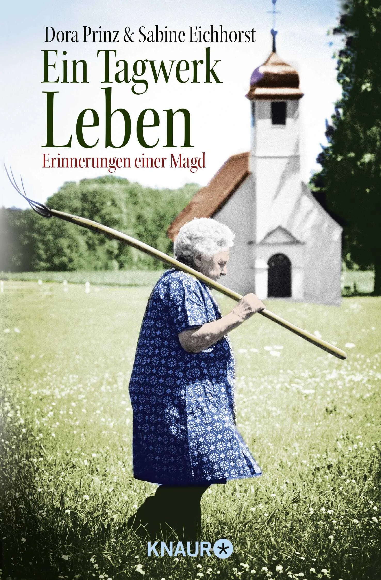 Buchcover von 'Ein Tagwerk Leben' - Taschenbuch von Dora Prinz
