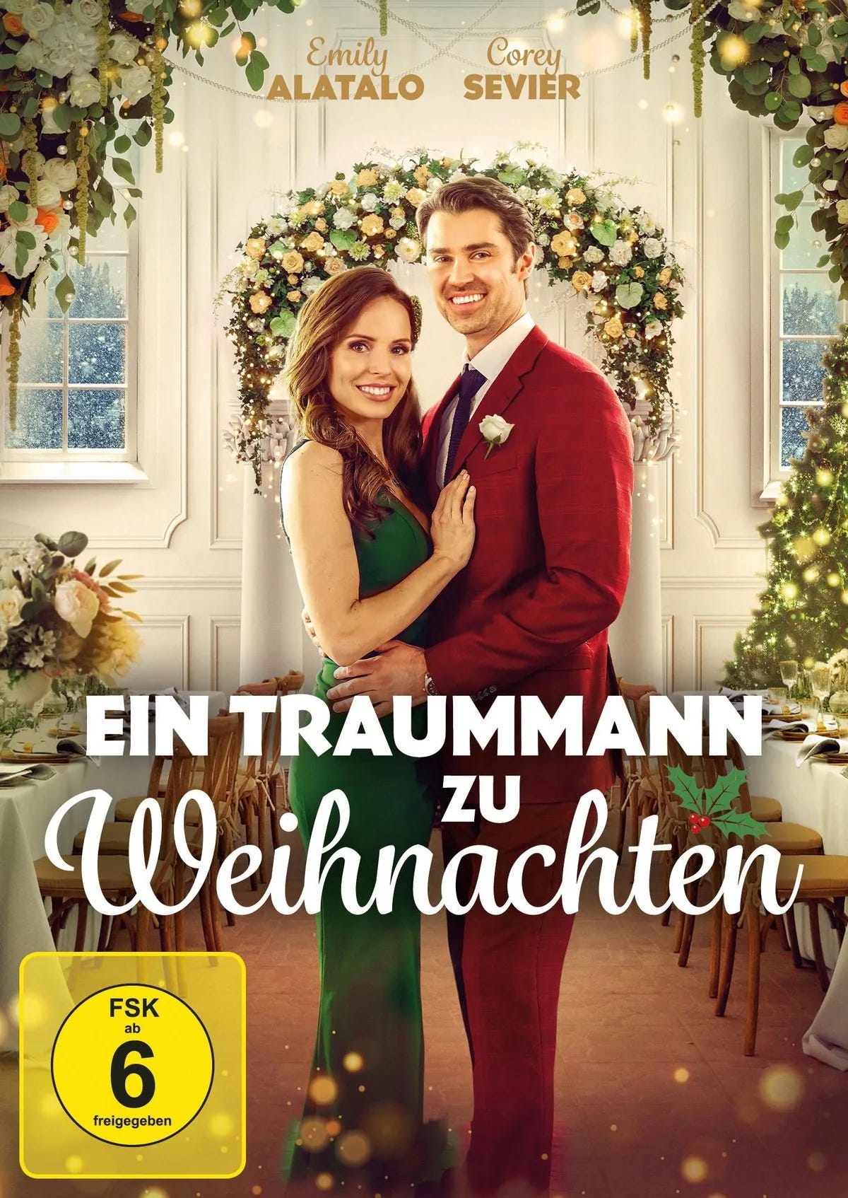 Ein Traummann zu Weihnachten - DVD