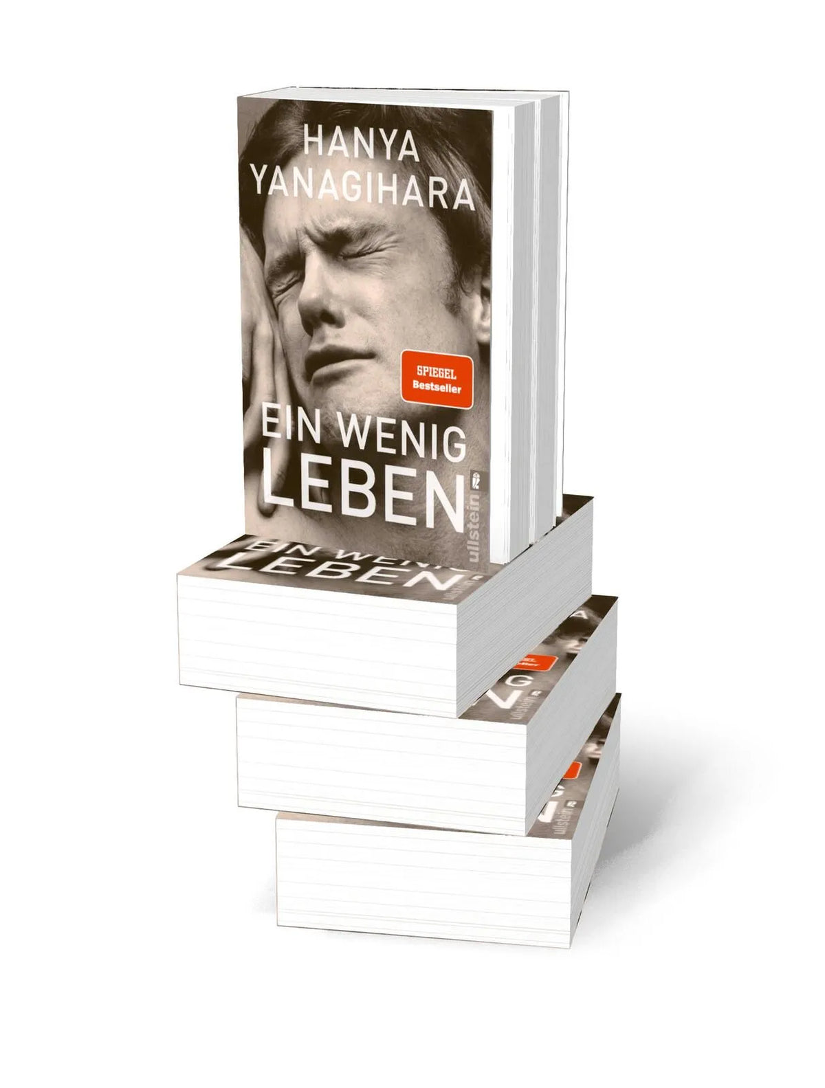 Detailansicht: Ein wenig Leben (Taschenbuch)