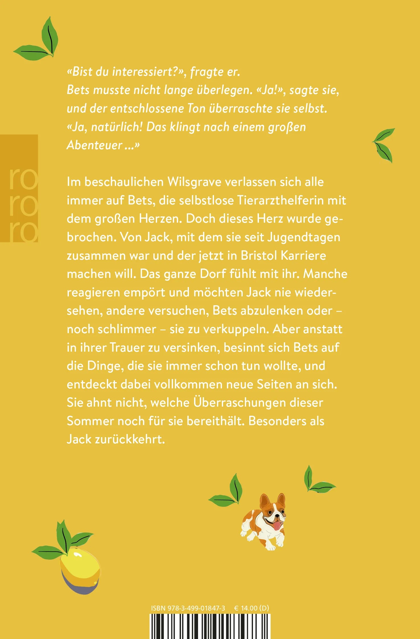 Rückseite: Ein Wiedersehen im Sommer (Taschenbuch)