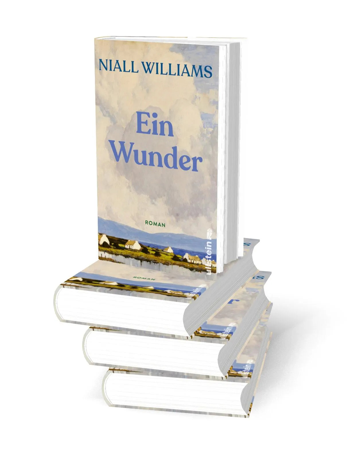 Detailansicht: Ein Wunder (Hardcover)