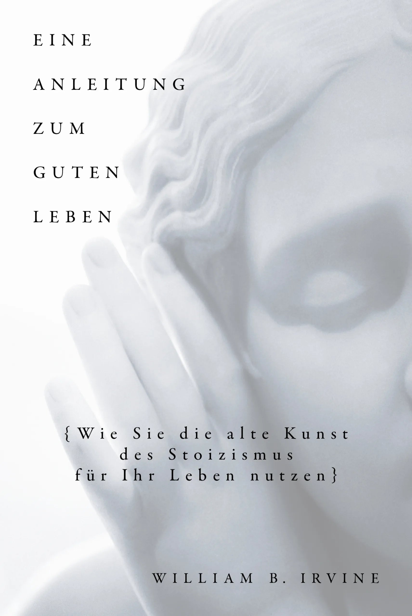 Buchcover von 'Eine Anleitung zum guten Leben' - Gebundene Ausgabe von William B. Irvine