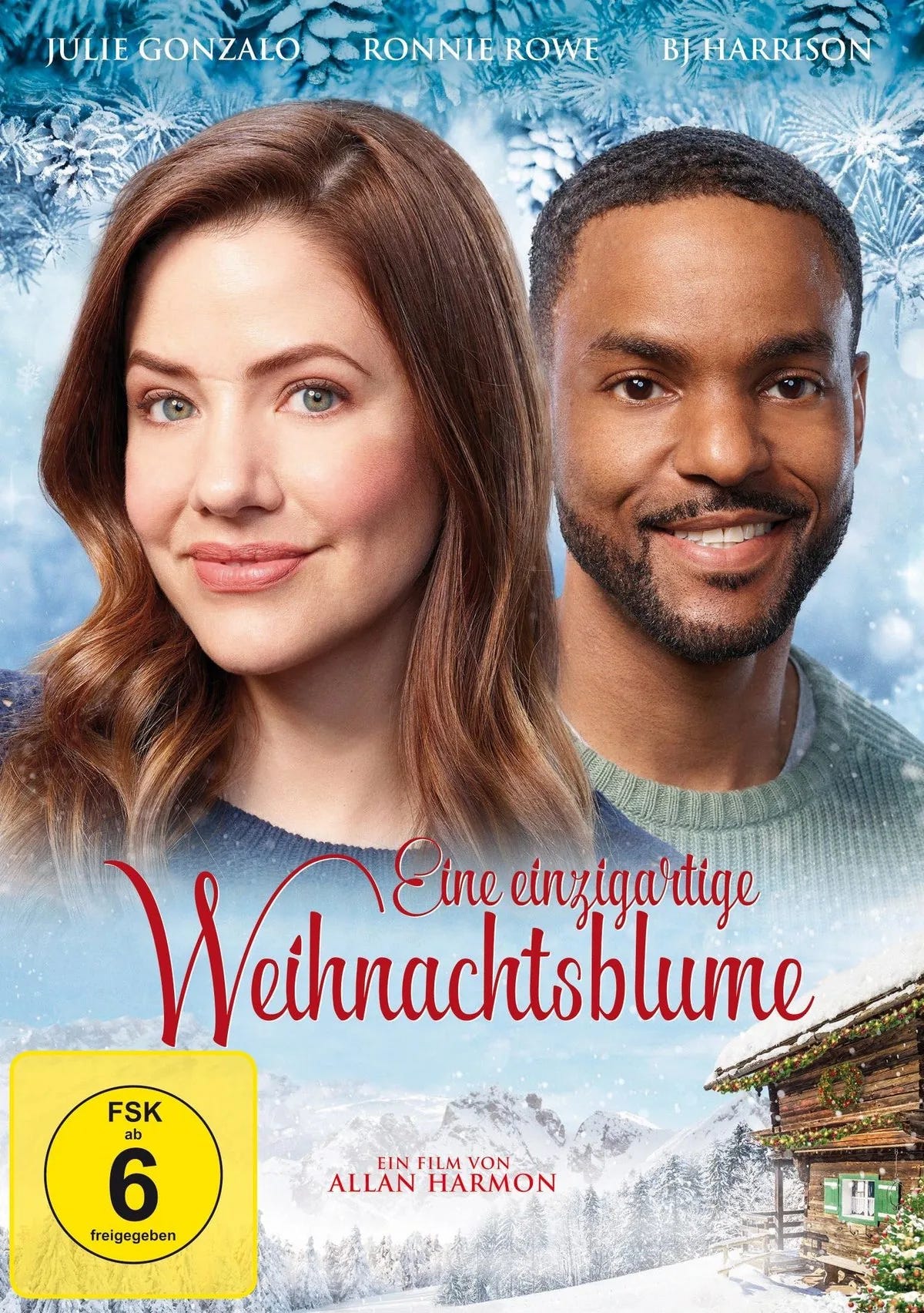Eine einzigartige Weihnachtsblume - DVD