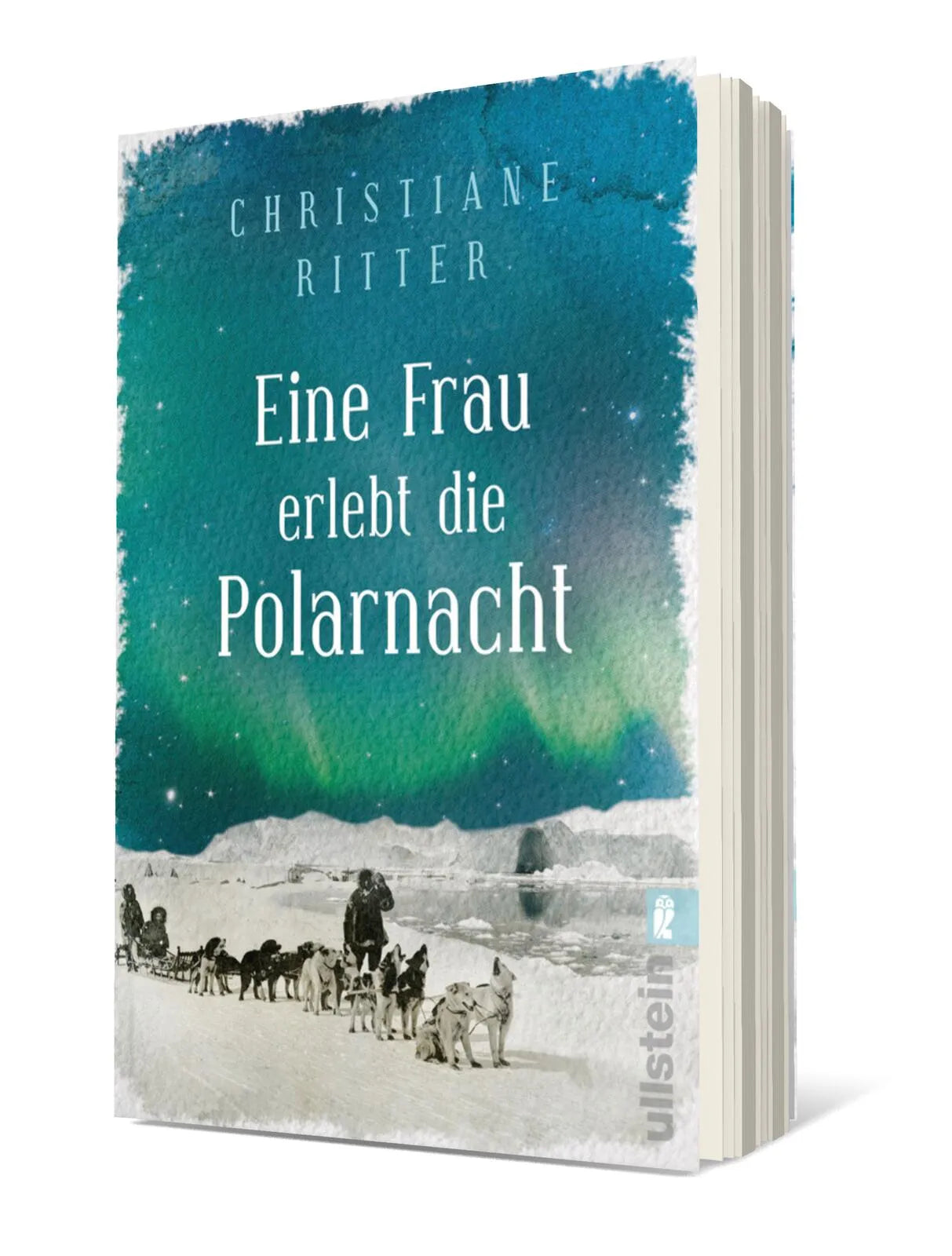 Produktansicht: Eine Frau erlebt die Polarnacht (Taschenbuch)