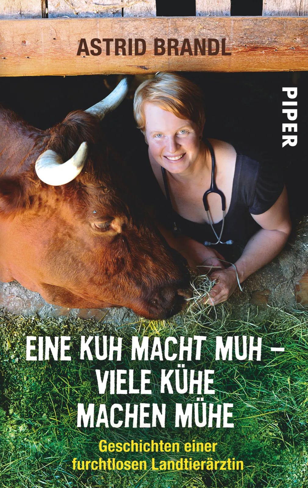 Buchcover von 'Eine Kuh macht muh – viele Kühe machen Mühe' - Taschenbuch von Astrid Brandl