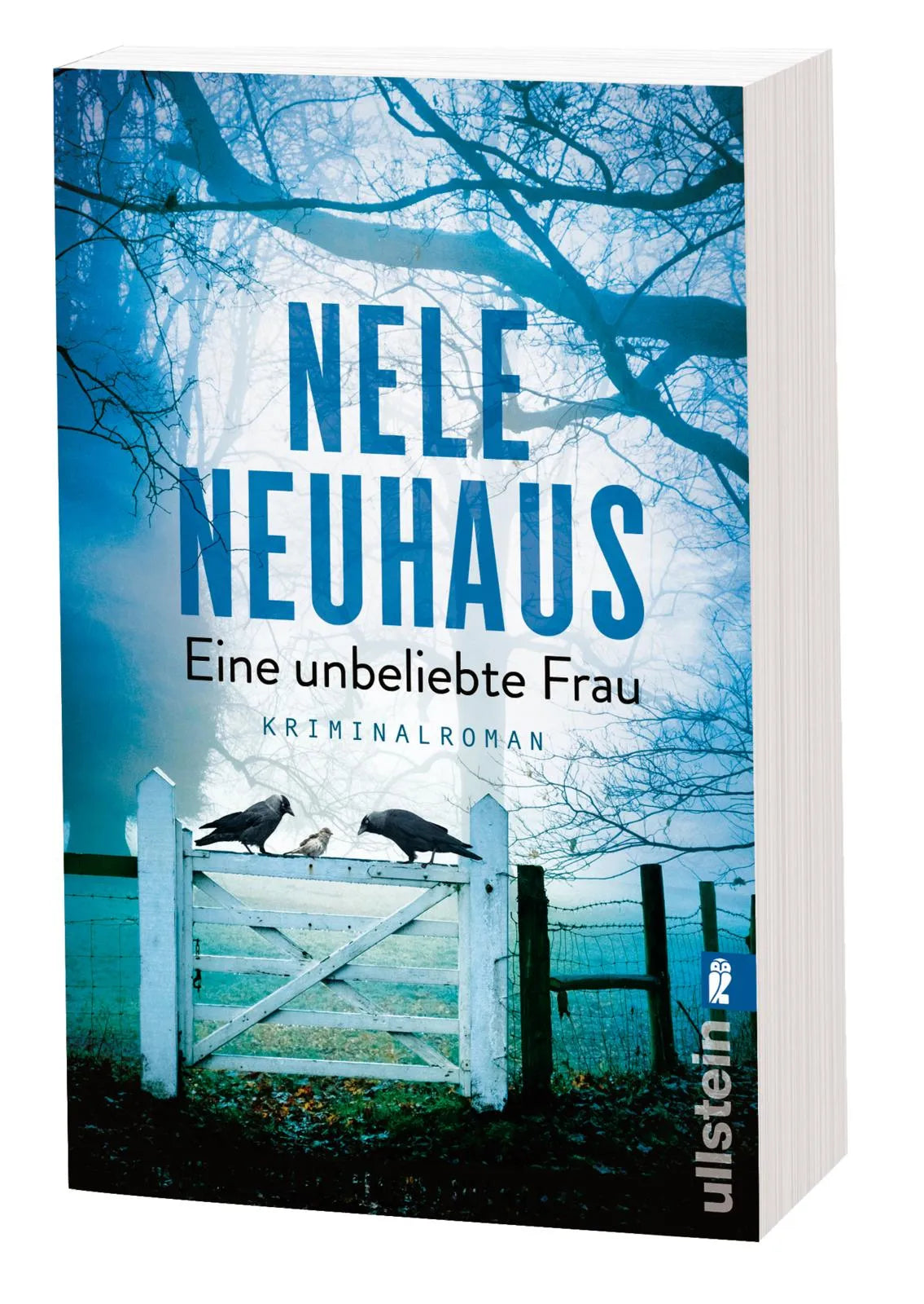 Produktansicht: Eine unbeliebte Frau (Taschenbuch)