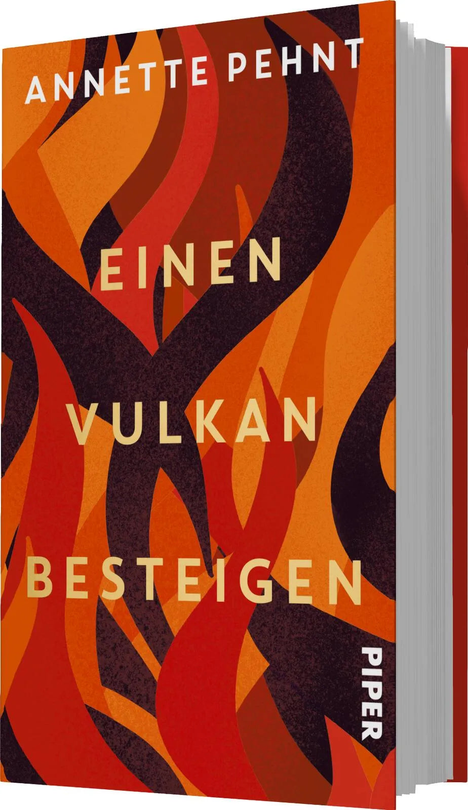 Annette Pehnt - Einen Vulkan besteigen