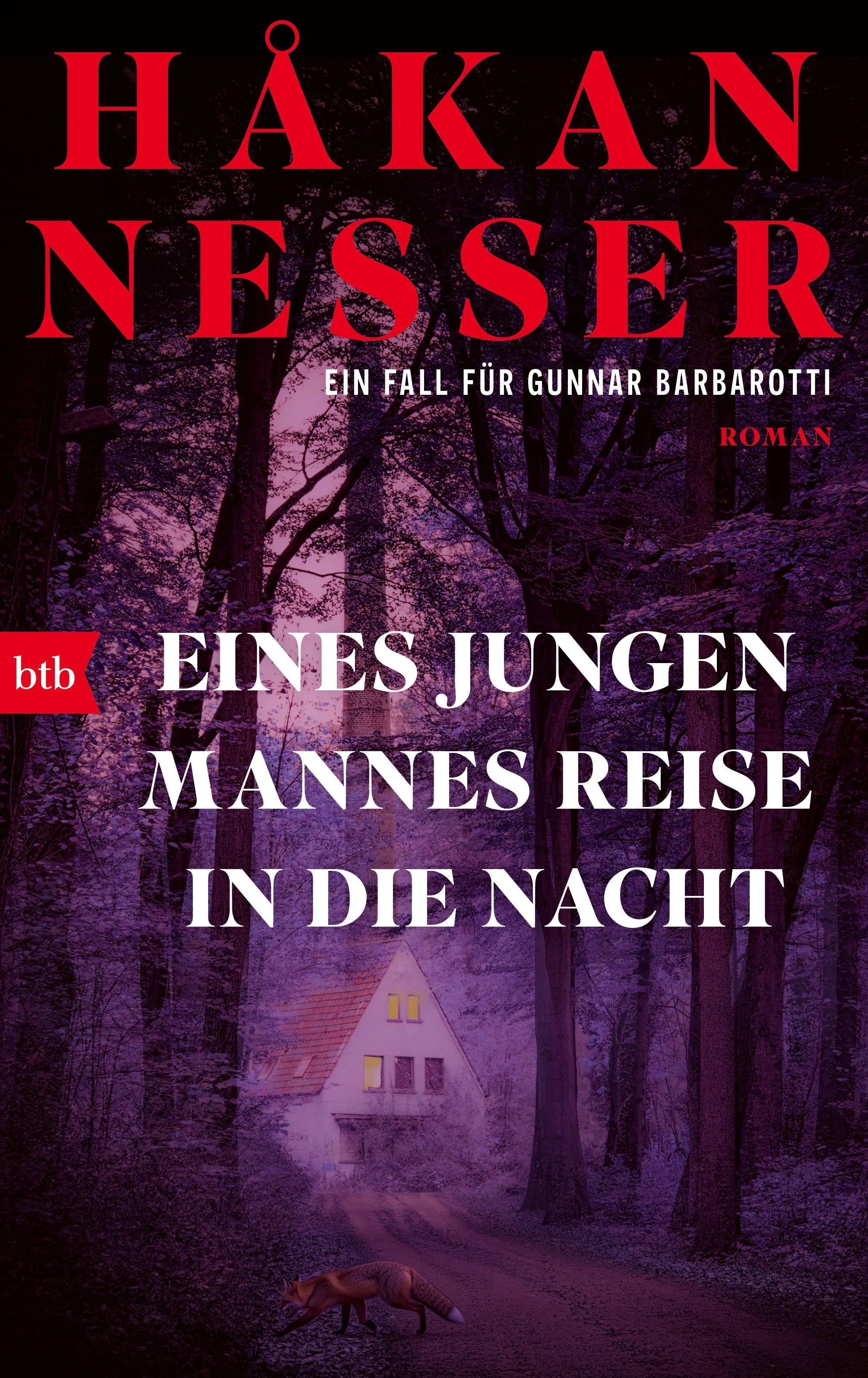 Cover: Eines jungen Mannes Reise in die Nacht (Taschenbuch) von Håkan Nesser