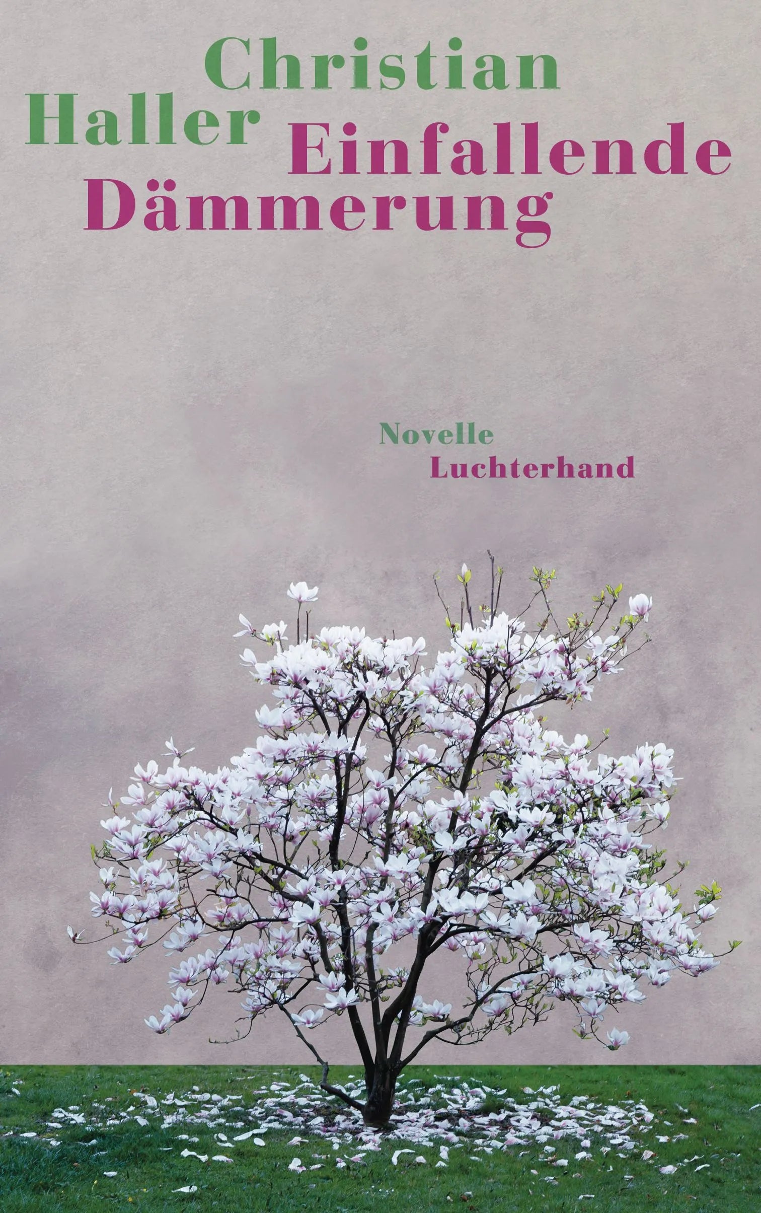 Cover: Einfallende Dämmerung (Hardcover) von Christian Haller