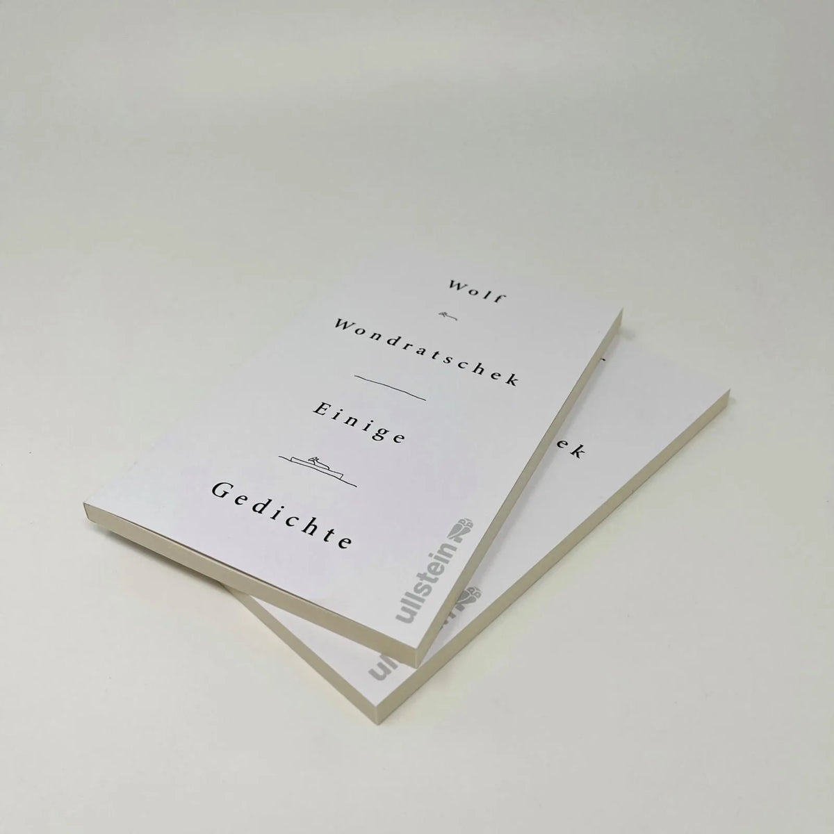 Detailansicht: Einige Gedichte (Taschenbuch)