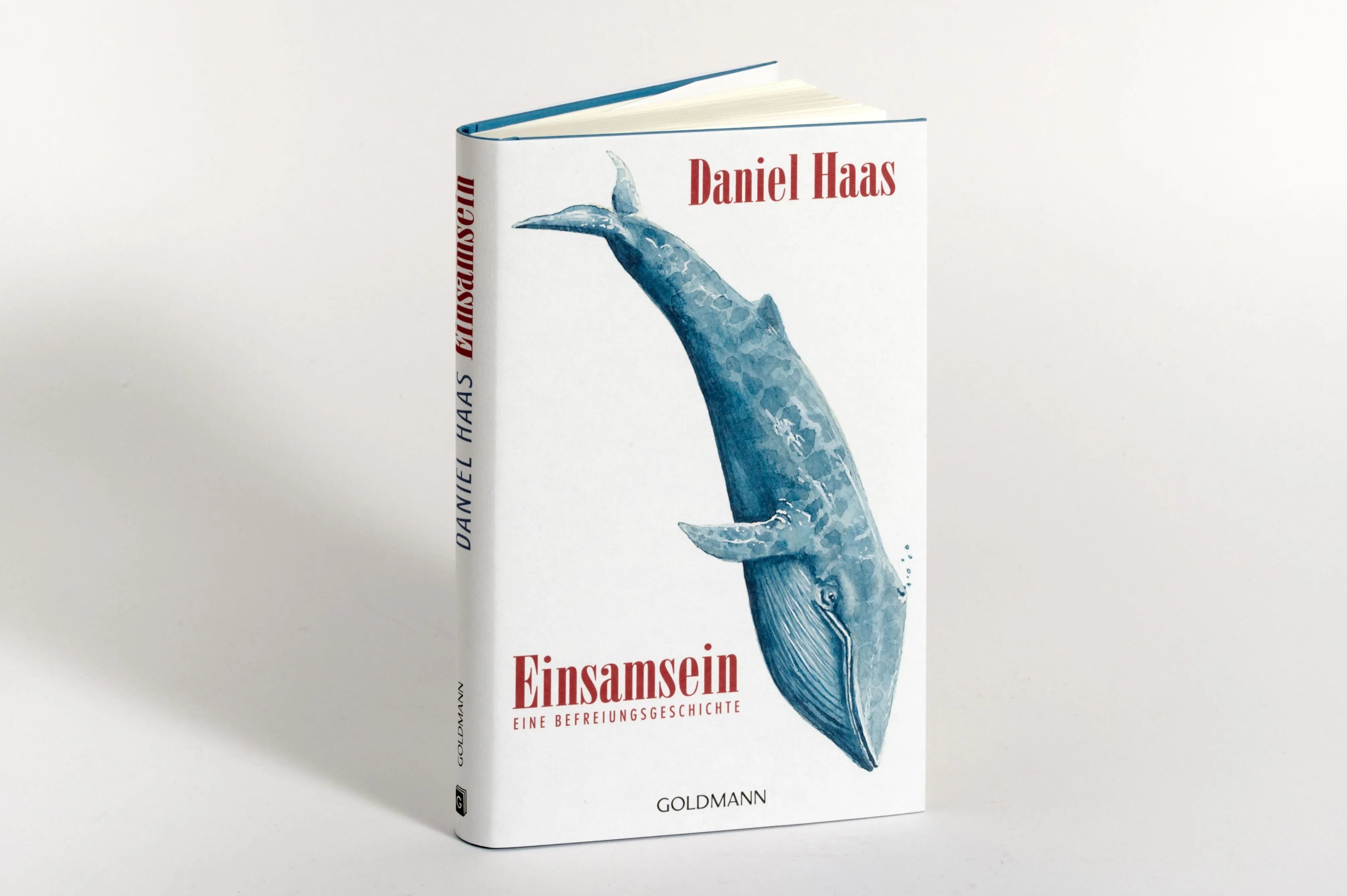 Detailansicht: Einsamsein (Hardcover)