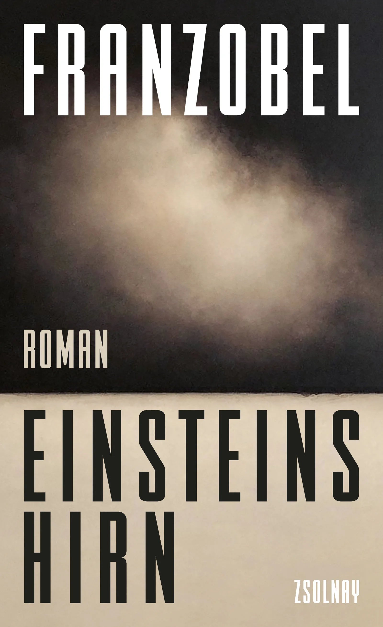Buchcover von 'Einsteins Hirn' - Gebundene Ausgabe von Franzobel