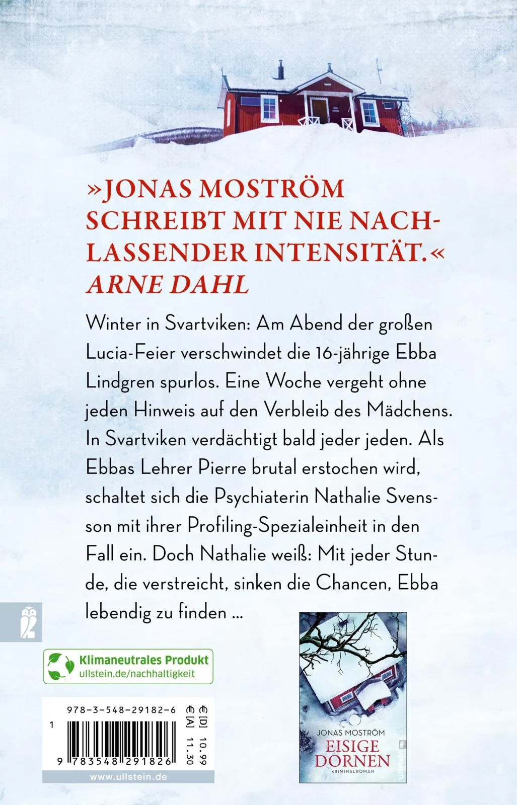 Buchrückseite von 'Eisesschatten' mit Klappentext - Taschenbuch
