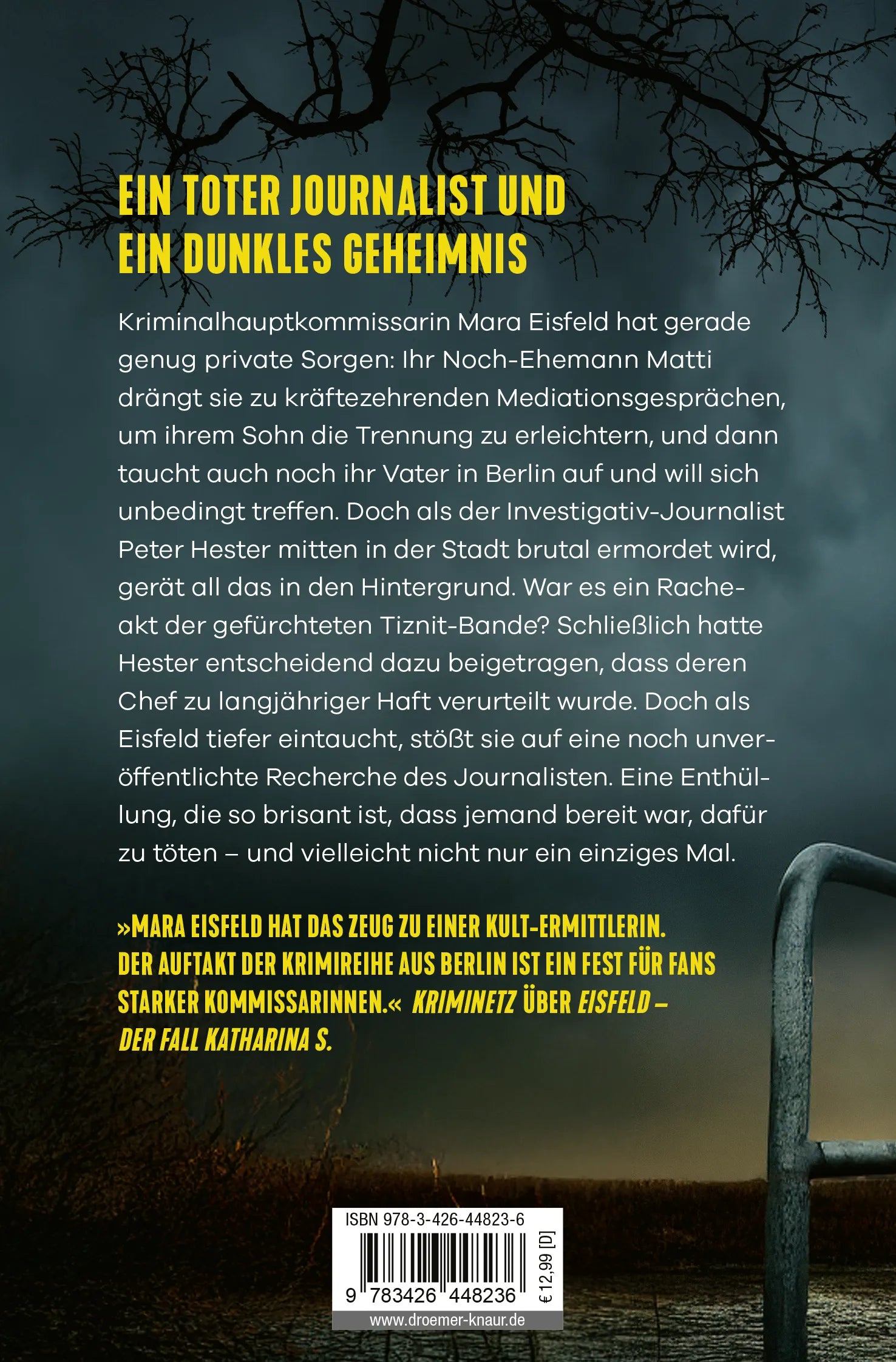 Buchrückseite von 'Eisfeld – Dunkle Enthüllungen' mit Klappentext - Taschenbuch