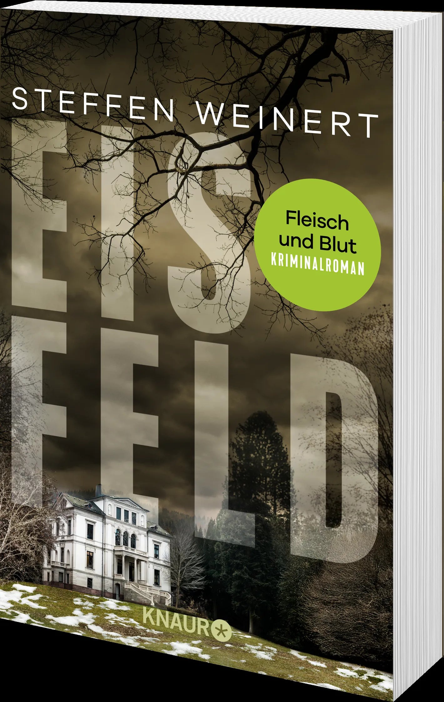 Steffen Weinert - Eisfeld - Fleisch und Blut