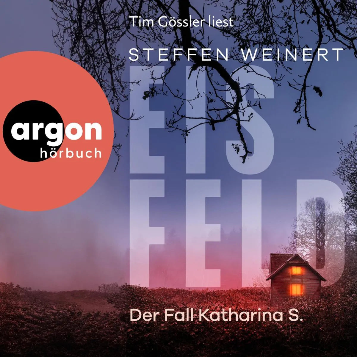Cover: Eisfeld - Der Fall Katharina S. - Kriminalroman (Hörbuch Download) von Steffen Weinert