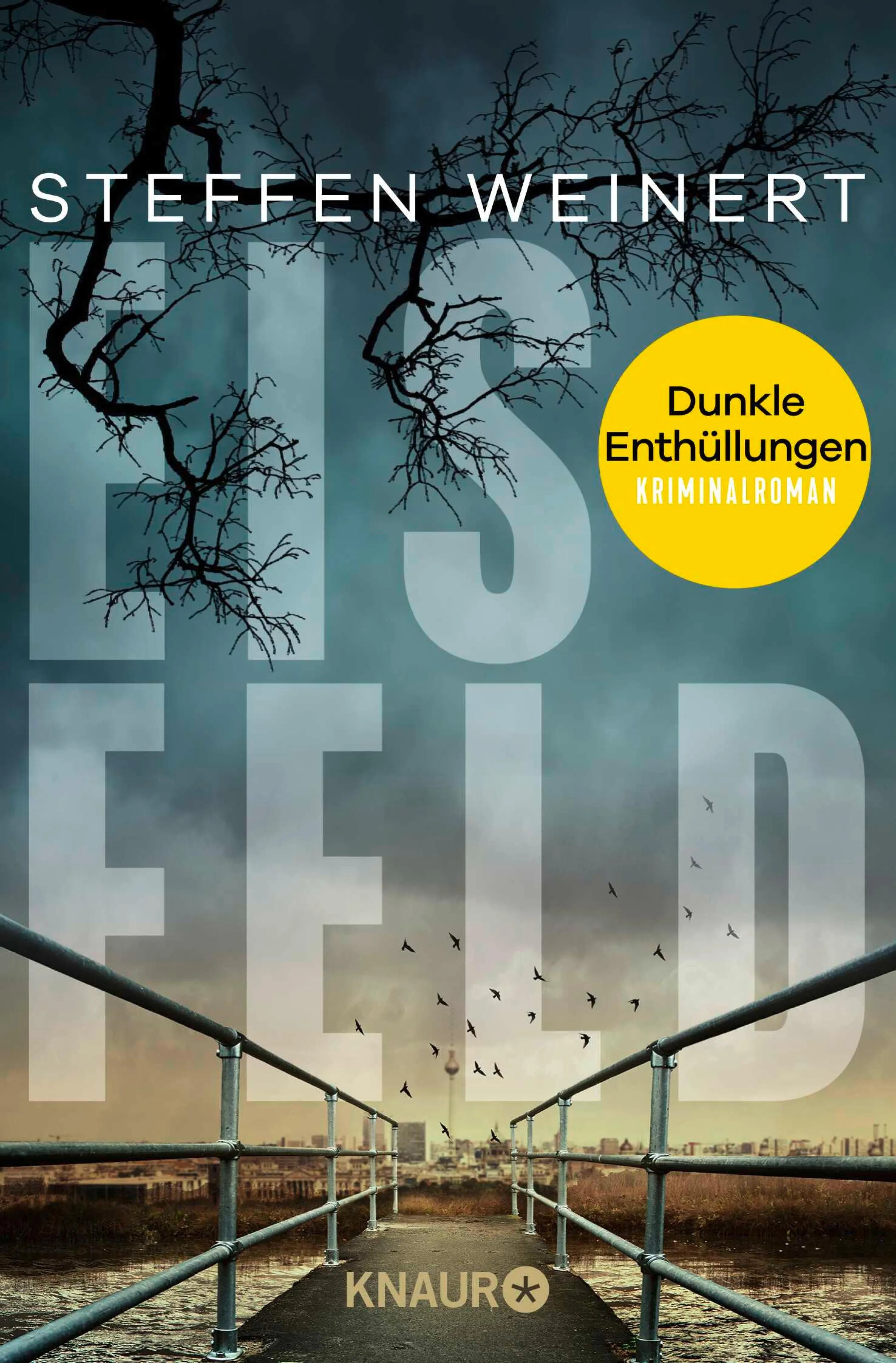 Cover: Eisfeld – Dunkle Enthüllungen (E-Book) von Steffen Weinert