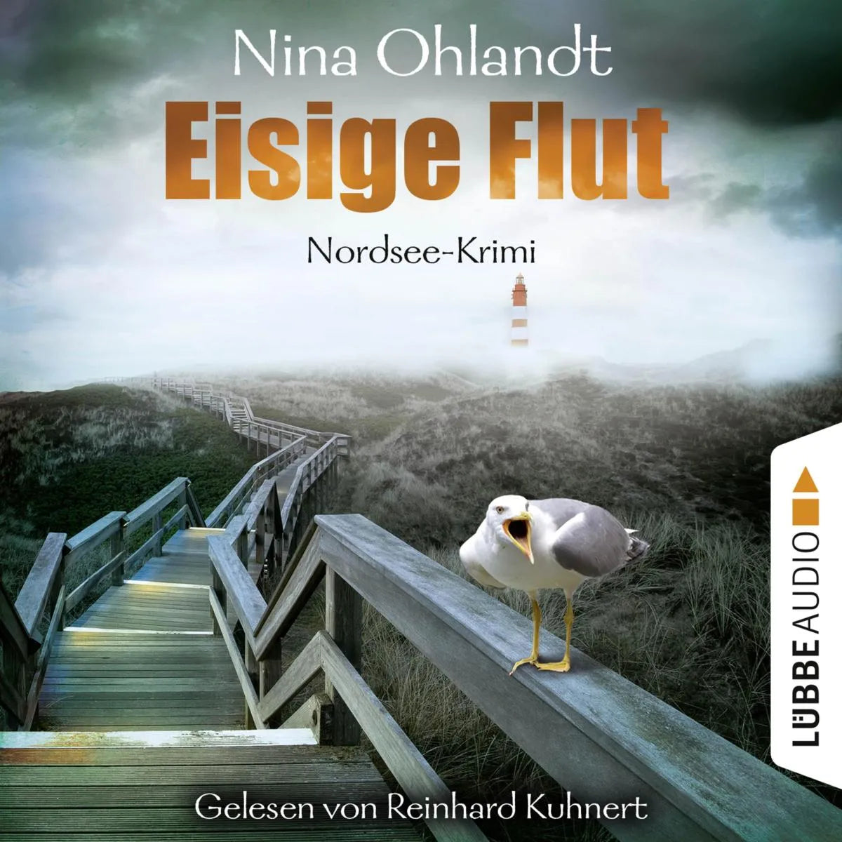 Cover: Eisige Flut (Hörbuch Download) von Nina Ohlandt