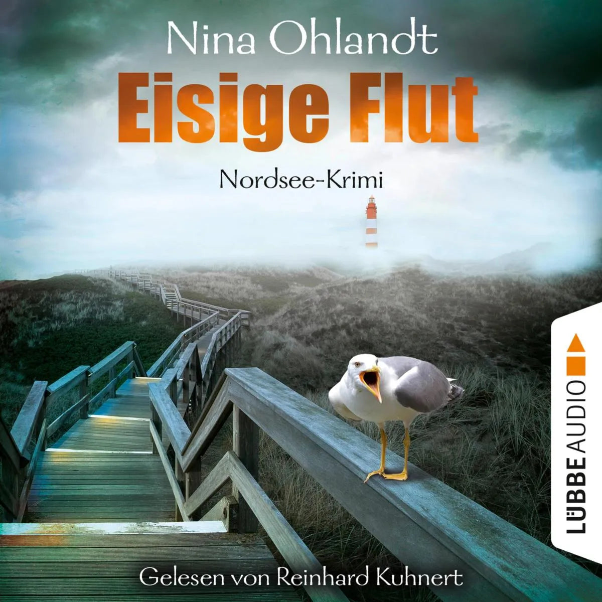 Cover: Eisige Flut - John Benthiens fünfter Fall (Hörbuch Download) von Nina Ohlandt