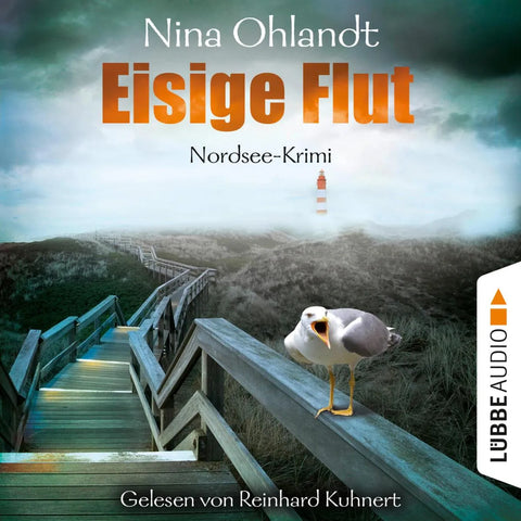 Eisige Flut - John Benthiens fünfter Fall - Hauptkommissar John Benthien, Band 5