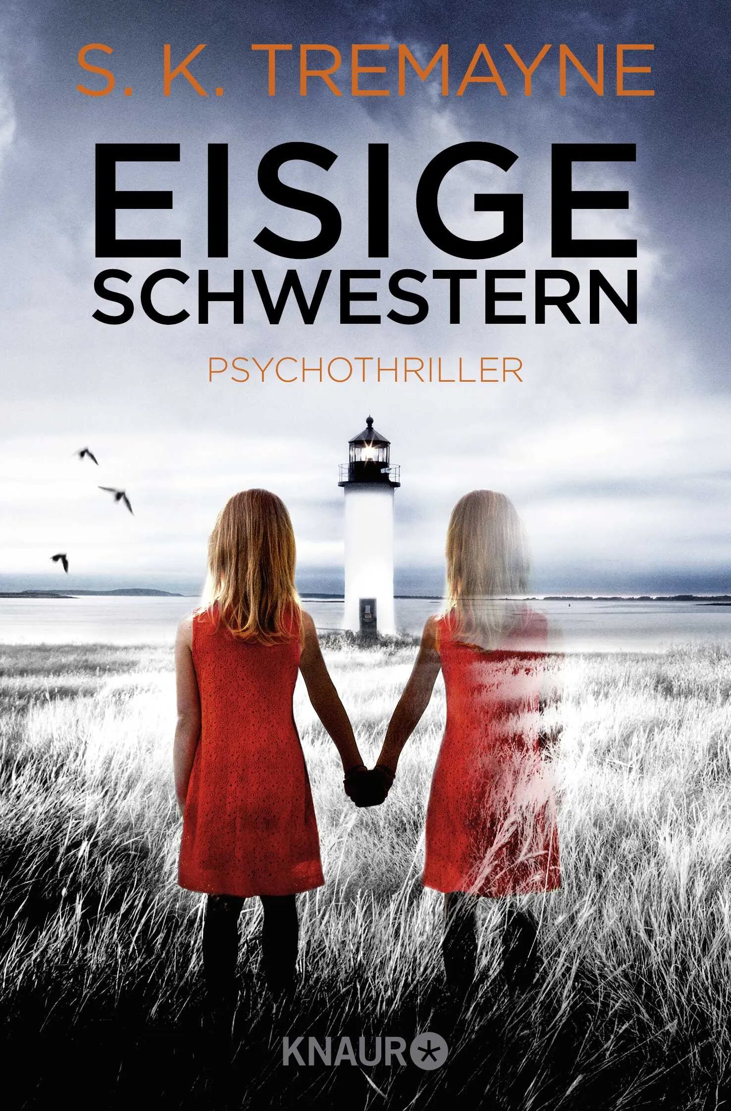 Buchcover von 'Eisige Schwestern' - Taschenbuch von S. K. Tremayne