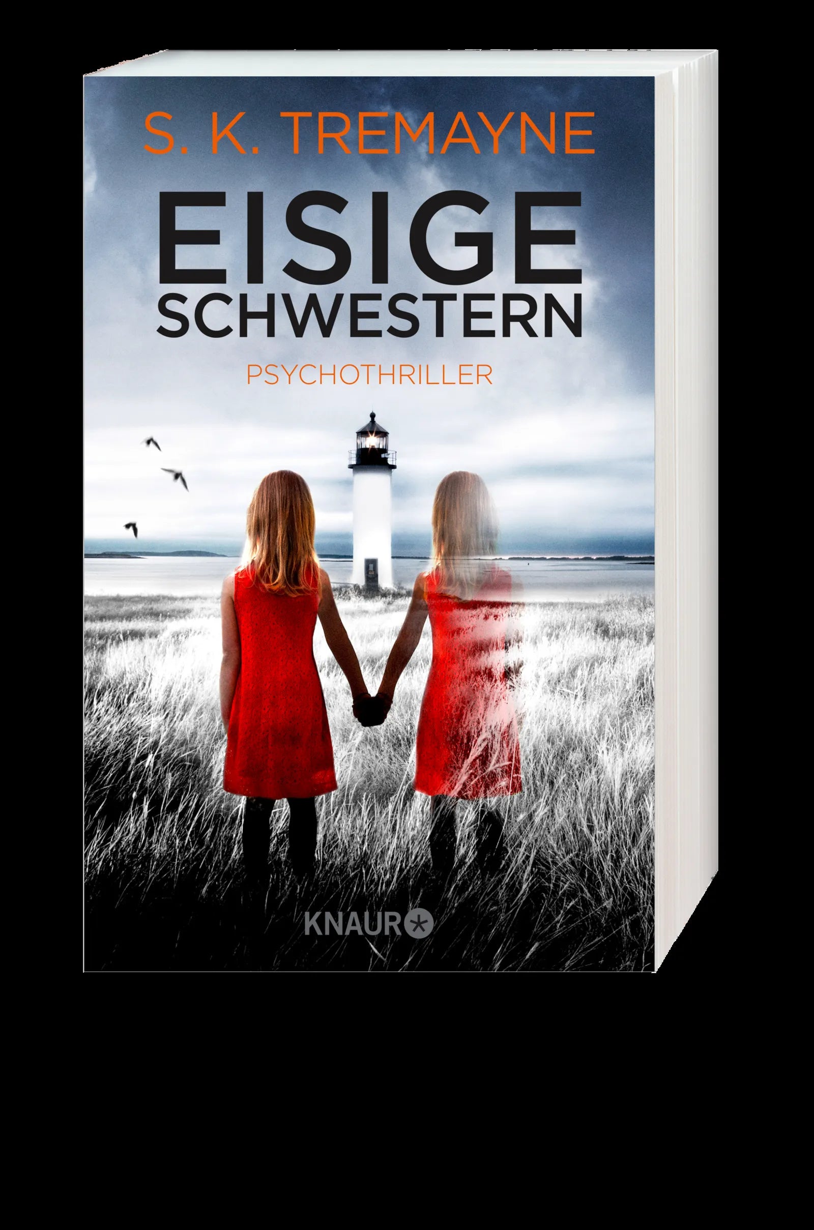 S. K. Tremayne - Eisige Schwestern
