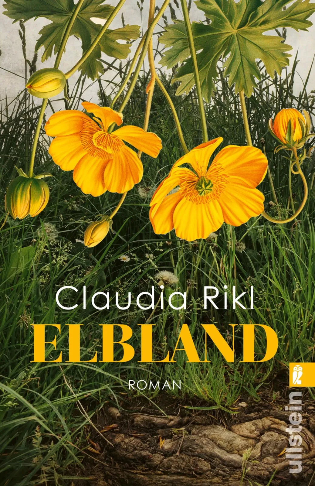 Cover: Elbland (Taschenbuch) von Claudia Rikl