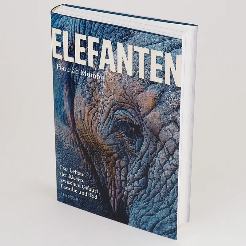 Hannah Mumby - Elefanten