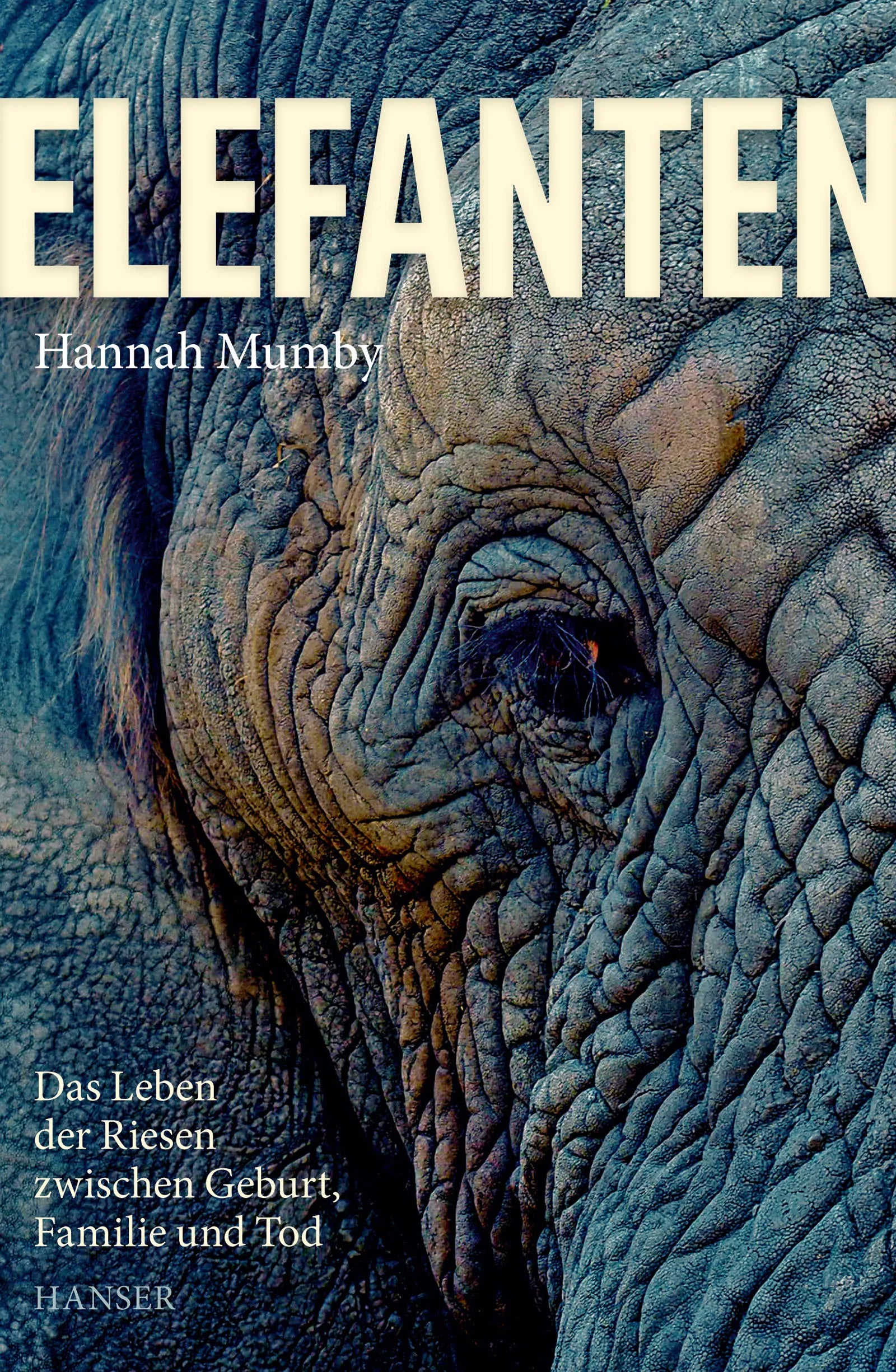 Buchcover von 'Elefanten' - Gebundene Ausgabe von Hannah Mumby