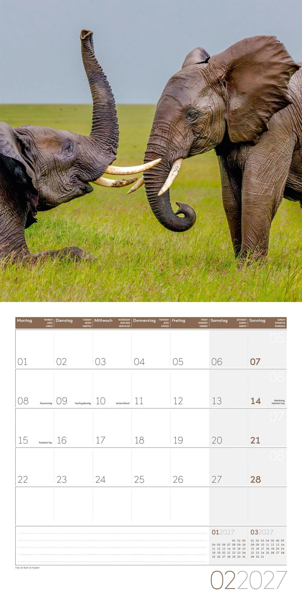 Elefanten Kalender 2027 - 30x30 - Art12 – Ansicht