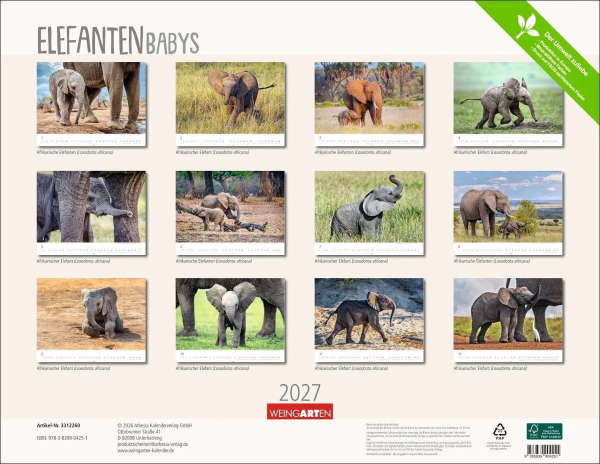 Elefantenbabys Kalender 2027 – Ansicht