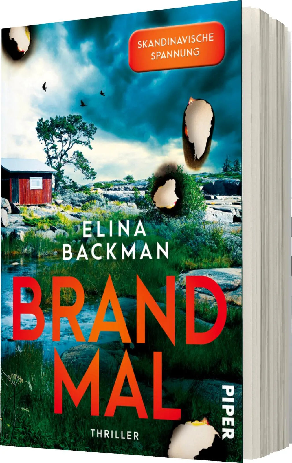 Produktansicht: Brandmal (Paperback)