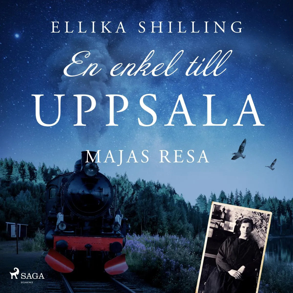 Cover: En enkel till Uppsala (Hörbuch Download) von Ellika Shilling