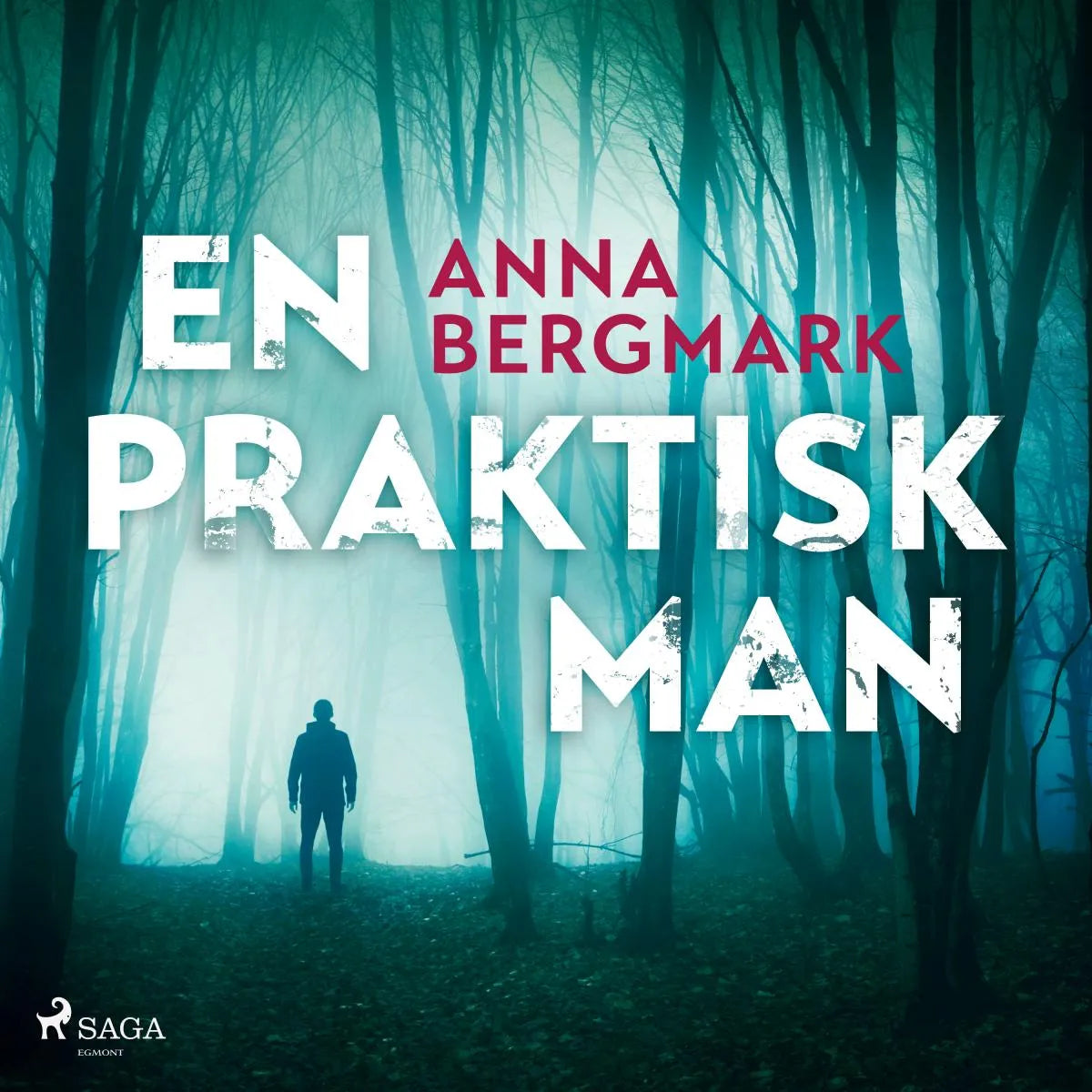 Cover: En praktisk man (Hörbuch Download) von Anna Bergmark