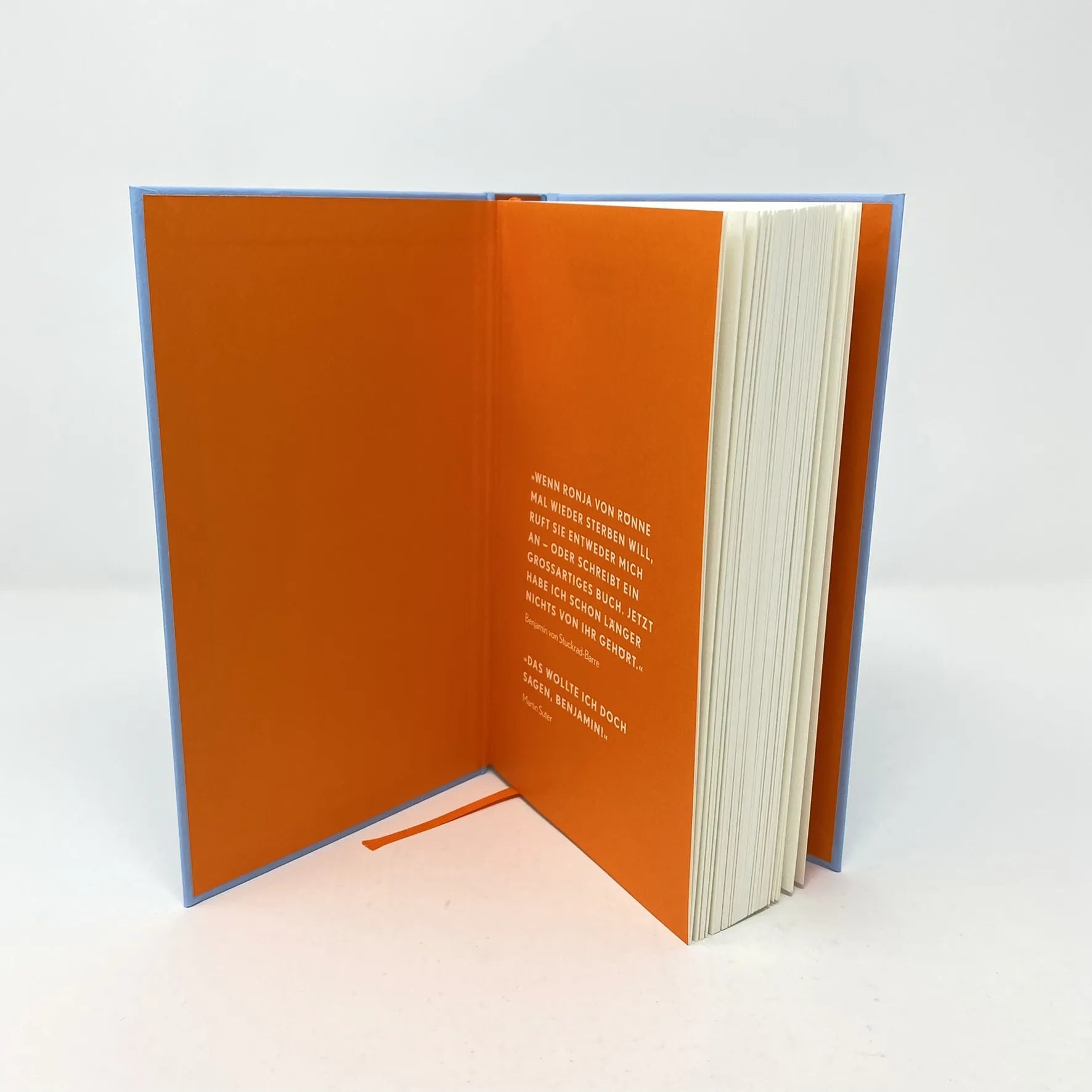 Produktansicht: Ende in Sicht (Gebundene Ausgabe)